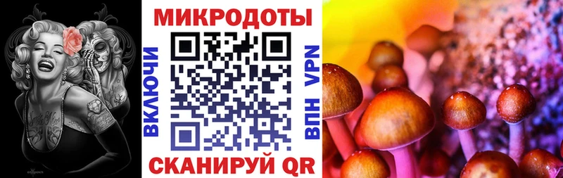 ОМГ ОМГ зеркало  Североуральск  Галлюциногенные грибы GOLDEN TEACHER 